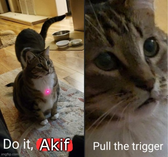 do it debra, pull the trigger | Akif | image tagged in do it debra pull the trigger | made w/ Imgflip meme maker