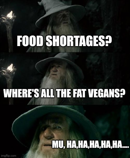 We're having guest for dinner | FOOD SHORTAGES? WHERE'S ALL THE FAT VEGANS? MU, HA,HA,HA,HA,HA.... | image tagged in memes,confused gandalf | made w/ Imgflip meme maker