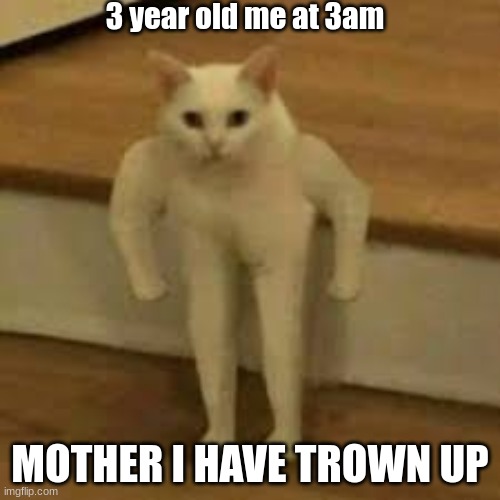 3 year old me | 3 year old me at 3am; MOTHER I HAVE TROWN UP | image tagged in funny | made w/ Imgflip meme maker