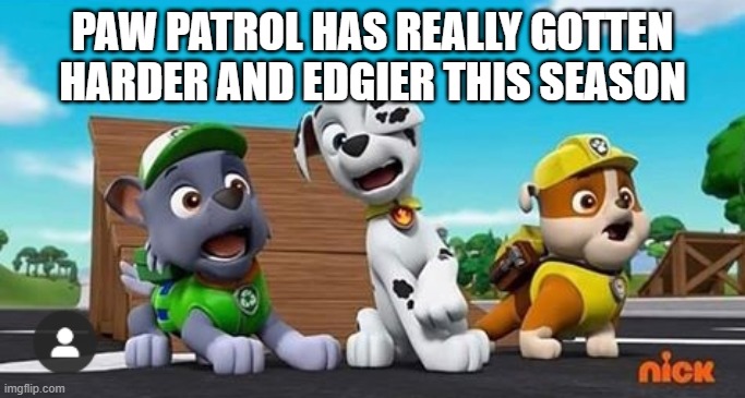 Paw Patrol Shocked Rocky, Marshall, and Rubble | PAW PATROL HAS REALLY GOTTEN HARDER AND EDGIER THIS SEASON | image tagged in paw patrol shocked rocky marshall and rubble | made w/ Imgflip meme maker