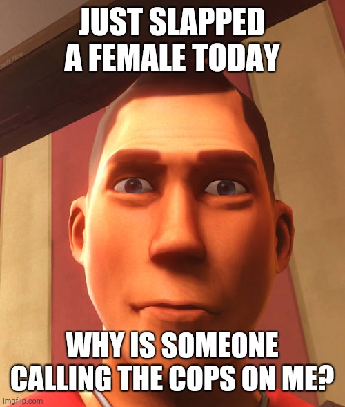 s | JUST SLAPPED A FEMALE TODAY; WHY IS SOMEONE CALLING THE COPS ON ME? | image tagged in s | made w/ Imgflip meme maker