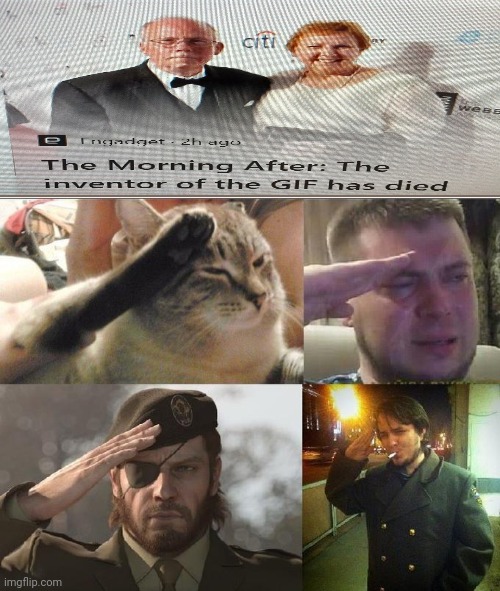 R.I.P | image tagged in ozon's salute,rip,f in the chat | made w/ Imgflip meme maker