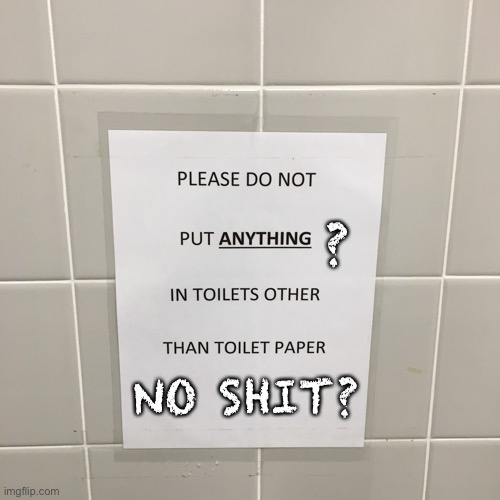 Toilet Notice | ? NO SHIT? | image tagged in toilet paper only,notice,no shit | made w/ Imgflip meme maker