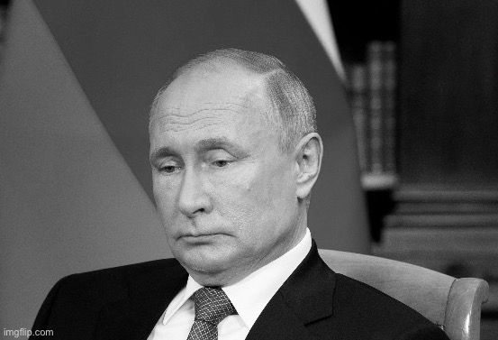 Sad Putin grayscale | image tagged in sad putin grayscale | made w/ Imgflip meme maker