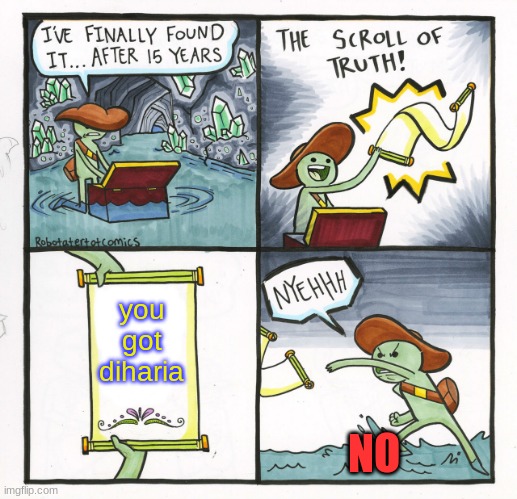 The Scroll Of Truth Meme | you got diharia; NO | image tagged in memes,the scroll of truth | made w/ Imgflip meme maker