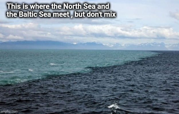 Natural phenomenon | This is where the North Sea and
  the Baltic Sea meet , but don't mix | image tagged in water,together,well yes but actually no,density | made w/ Imgflip meme maker