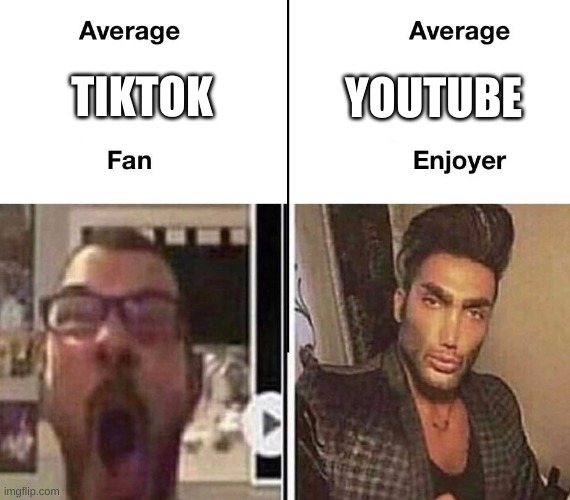 Average Fan vs. Average Enjoyer | YOUTUBE; TIKTOK | image tagged in average fan vs average enjoyer | made w/ Imgflip meme maker