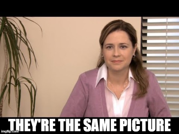 They're the same picture | THEY'RE THE SAME PICTURE | image tagged in they're the same picture | made w/ Imgflip meme maker