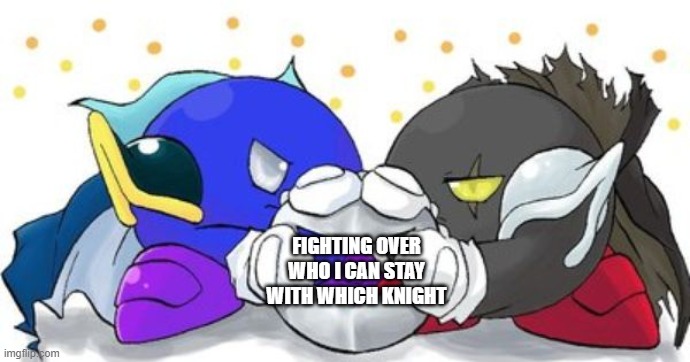 Meta Knight and Dark Meta Knight fighting over a mask | FIGHTING OVER WHO I CAN STAY WITH WHICH KNIGHT | image tagged in meta knight and dark meta knight fighting over a mask | made w/ Imgflip meme maker