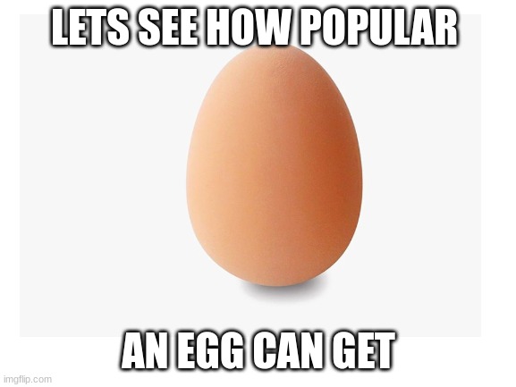 The egg that broke instagram |  LET'S SEE HOW POPULAR; AN EGG CAN GET | image tagged in egg | made w/ Imgflip meme maker