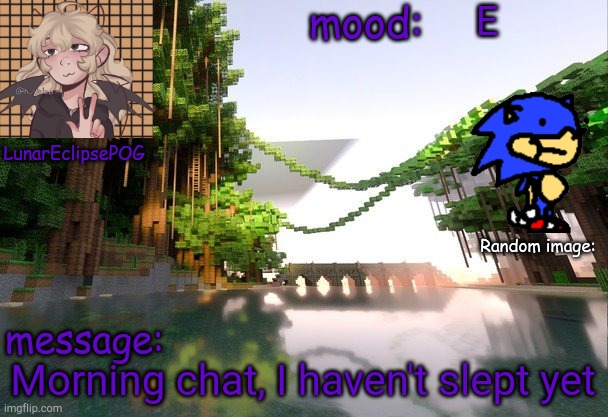 Yes | E; Morning chat, I haven't slept yet | image tagged in new lunareclipsepog temp | made w/ Imgflip meme maker