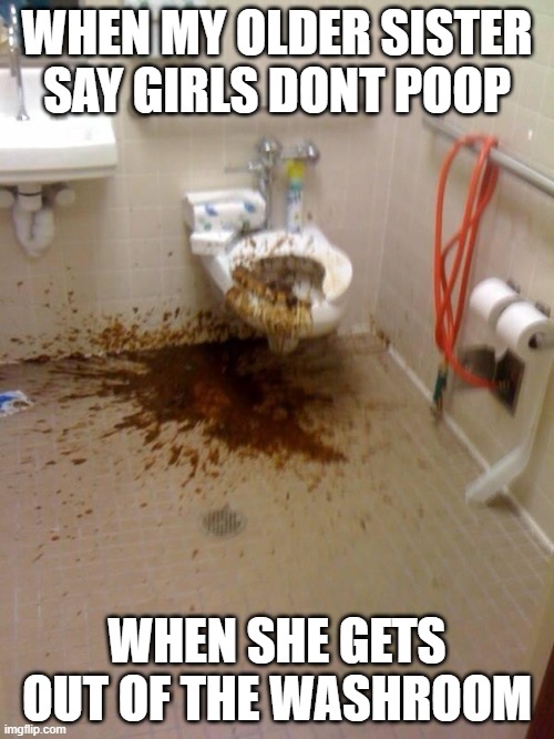 girls poop too | WHEN MY OLDER SISTER SAY GIRLS DONT POOP; WHEN SHE GETS OUT OF THE WASHROOM | image tagged in girls poop too | made w/ Imgflip meme maker