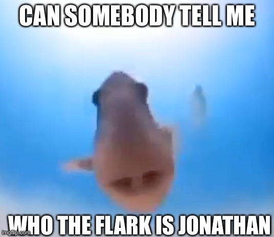 Fish | CAN SOMEBODY TELL ME; WHO THE FLARK IS JONATHAN | image tagged in fish | made w/ Imgflip meme maker