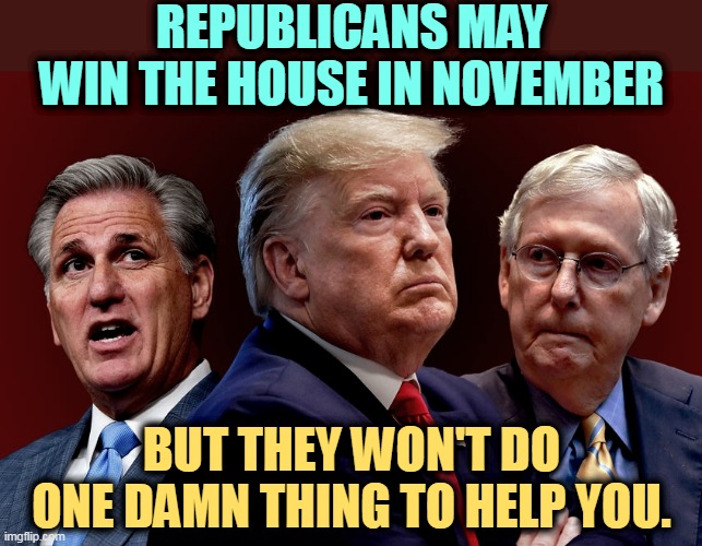 You're not rich enough to matter. Oil companies, yes, but never you. | REPUBLICANS MAY WIN THE HOUSE IN NOVEMBER; BUT THEY WON'T DO ONE DAMN THING TO HELP YOU. | image tagged in mccarthy trump mcconnell evil bad for america,republicans,congress,election,wealth | made w/ Imgflip meme maker