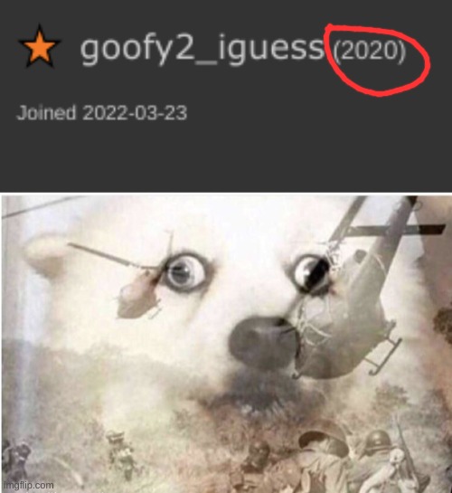literally 2020 | image tagged in vietnam dog,oh no,2020 | made w/ Imgflip meme maker