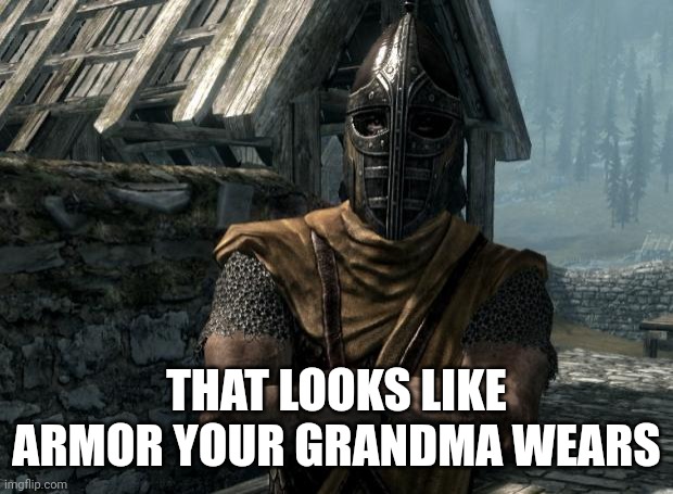 Skyrim guards be like | THAT LOOKS LIKE ARMOR YOUR GRANDMA WEARS | image tagged in skyrim guards be like | made w/ Imgflip meme maker