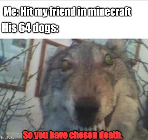 His dogs. | Me: Hit my friend in minecraft; His 64 dogs:; So you have chosen death. | image tagged in minecraft,funny,dogs,gaming,memes,lol | made w/ Imgflip meme maker
