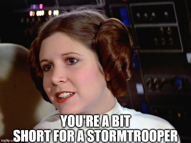 Princess Leia too easy | YOU'RE A BIT SHORT FOR A STORMTROOPER | image tagged in princess leia too easy | made w/ Imgflip meme maker