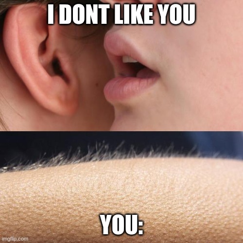 Whisper and Goosebumps | I DONT LIKE YOU; YOU: | image tagged in whisper and goosebumps | made w/ Imgflip meme maker