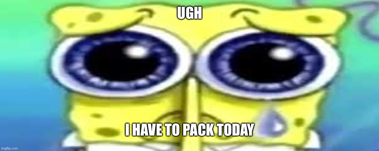 Sad Spong | UGH; I HAVE TO PACK TODAY | image tagged in sad spong | made w/ Imgflip meme maker