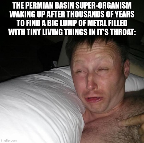 Limmy waking up | THE PERMIAN BASIN SUPER-ORGANISM WAKING UP AFTER THOUSANDS OF YEARS TO FIND A BIG LUMP OF METAL FILLED WITH TINY LIVING THINGS IN IT'S THROAT: | image tagged in limmy waking up | made w/ Imgflip meme maker
