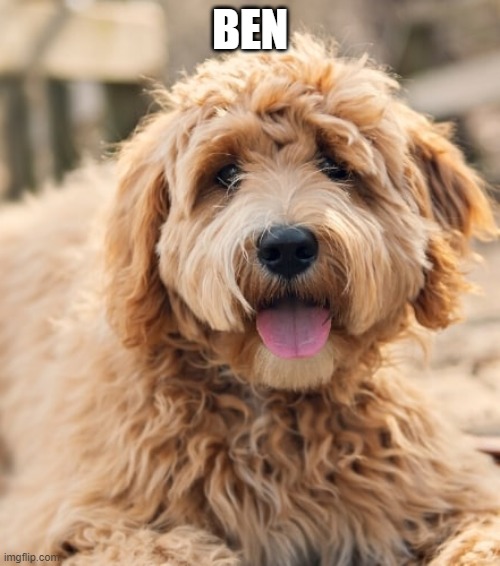 BEN | made w/ Imgflip meme maker