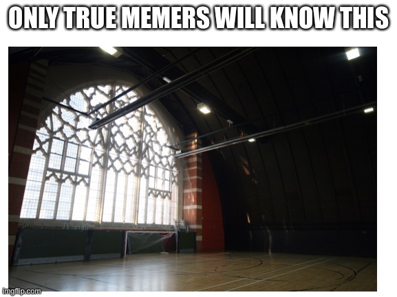 If you know you know | ONLY TRUE MEMERS WILL KNOW THIS | image tagged in rick astley | made w/ Imgflip meme maker