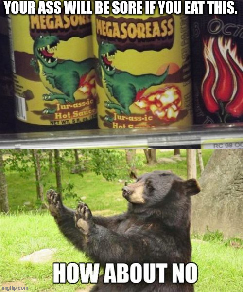 YOUR ASS WILL BE SORE IF YOU EAT THIS. | image tagged in memes,how about no bear | made w/ Imgflip meme maker