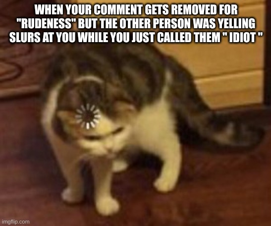 Seriously, this just happened to me somewhere else. |  WHEN YOUR COMMENT GETS REMOVED FOR "RUDENESS" BUT THE OTHER PERSON WAS YELLING SLURS AT YOU WHILE YOU JUST CALLED THEM " IDIOT " | image tagged in loading cat,funny memes,memes | made w/ Imgflip meme maker