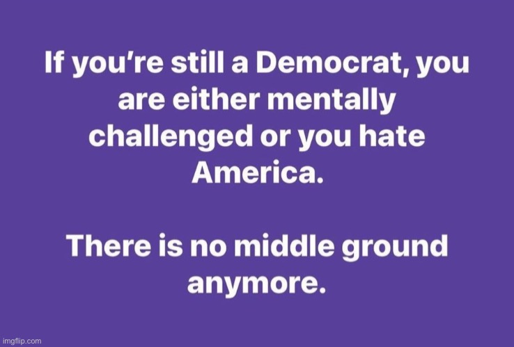 If you're still a Democrat, you are either mentally challenged or you hate America…. There is no middle ground anymore. | image tagged in political meme,phoebe joey,democrats,liberal logic,inflation,ww3 | made w/ Imgflip meme maker