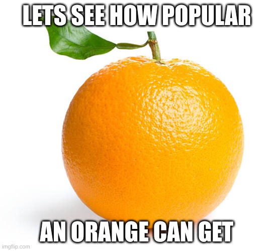  LETS SEE HOW POPULAR; AN ORANGE CAN GET | image tagged in memes,orange | made w/ Imgflip meme maker