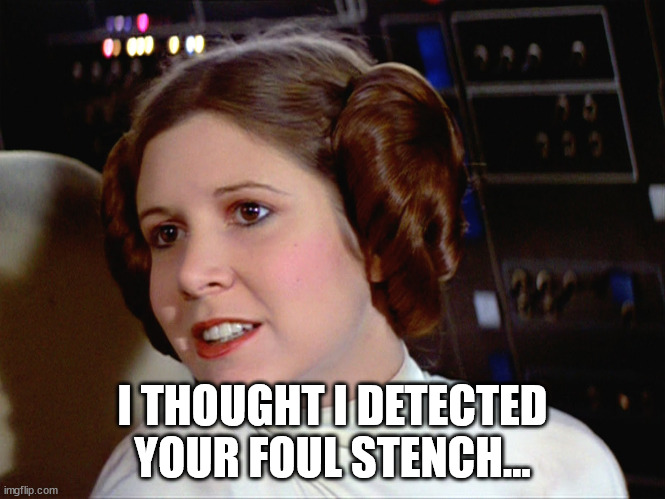 Princess Leia too easy | I THOUGHT I DETECTED YOUR FOUL STENCH... | image tagged in princess leia too easy | made w/ Imgflip meme maker