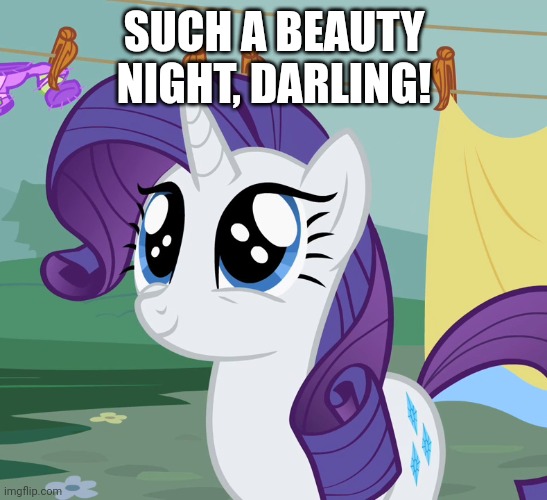 SUCH A BEAUTY NIGHT, DARLING! | made w/ Imgflip meme maker