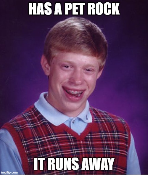 Bad Luck Brian | HAS A PET ROCK; IT RUNS AWAY | image tagged in memes,bad luck brian | made w/ Imgflip meme maker
