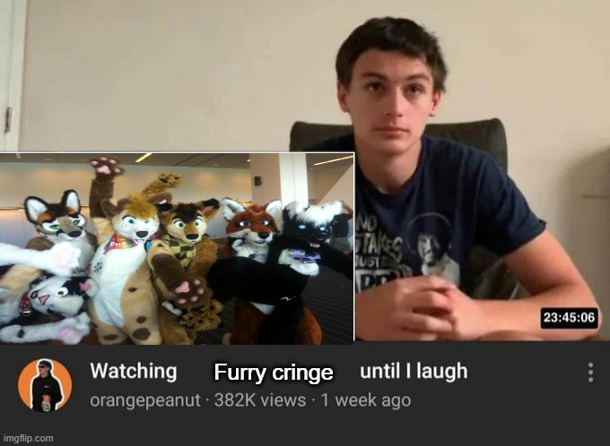watching until i laugh | Furry cringe | image tagged in watching until i laugh | made w/ Imgflip meme maker