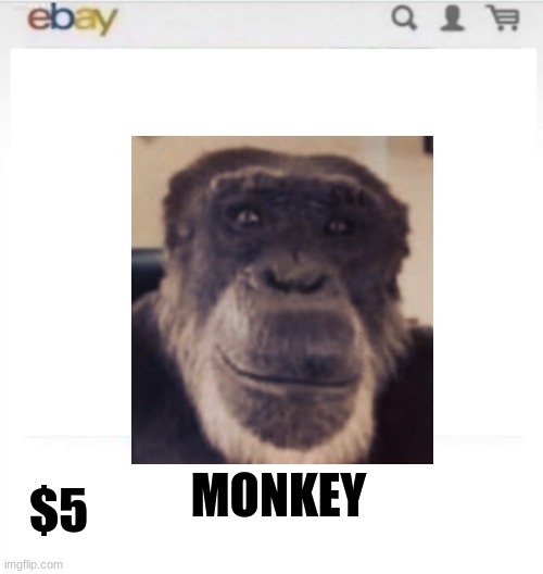 monk | $5; MONKEY | image tagged in the monkees | made w/ Imgflip meme maker