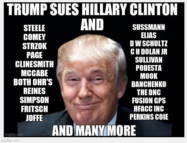 Donald Trump Sues Hillary Clinton & Cohorts | BOTH OHR'S | image tagged in memes,donald trump,hillary clinton,comey,debbie wasserman schultz,political meme | made w/ Imgflip meme maker