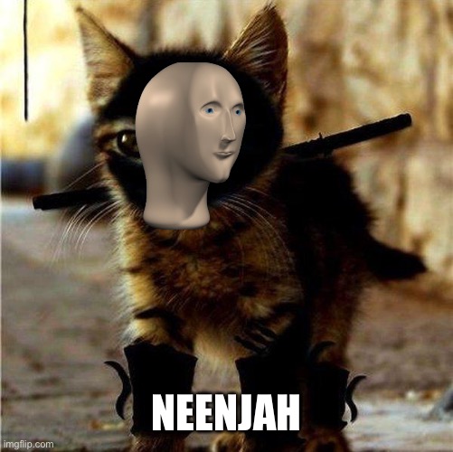 Ninja Cat | NEENJAH | image tagged in ninja cat | made w/ Imgflip meme maker