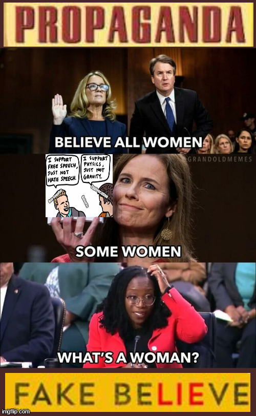 What's A Woman? | image tagged in woman,manmadewoman,liberalism,evil,deviants | made w/ Imgflip meme maker