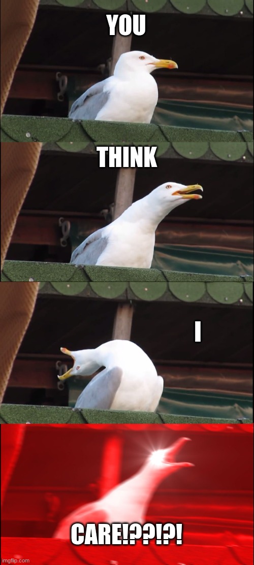 Inhaling Seagull | YOU; THINK; I; CARE!??!?! | image tagged in memes,inhaling seagull | made w/ Imgflip meme maker