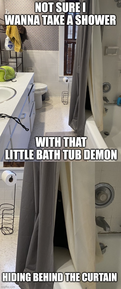 IT'S GONNA JUMP OUT AND ATTACK ME | NOT SURE I WANNA TAKE A SHOWER; WITH THAT LITTLE BATH TUB DEMON; HIDING BEHIND THE CURTAIN | image tagged in cats,funny cats | made w/ Imgflip meme maker