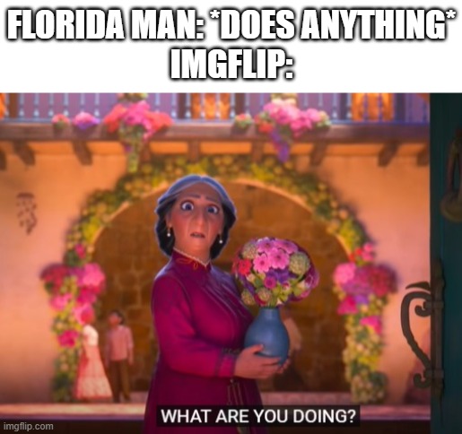 Florida Man |  FLORIDA MAN: *DOES ANYTHING*
IMGFLIP: | image tagged in what are you doing,florida man,encanto | made w/ Imgflip meme maker