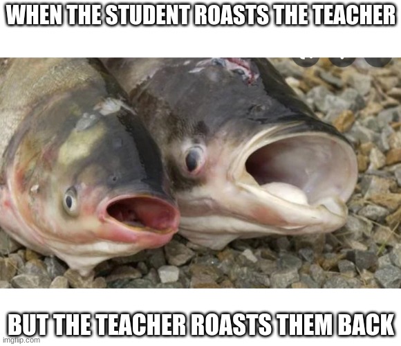 fish surprise | WHEN THE STUDENT ROASTS THE TEACHER; BUT THE TEACHER ROASTS THEM BACK | image tagged in funny | made w/ Imgflip meme maker