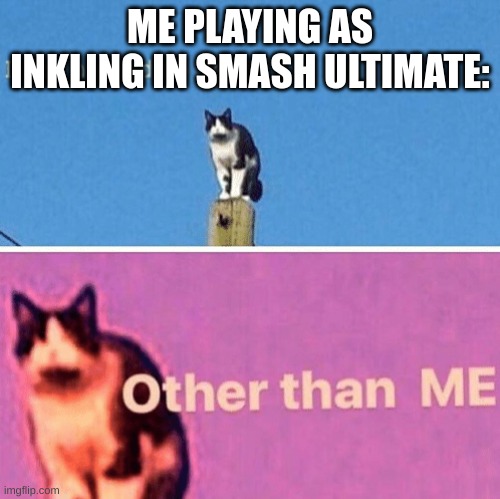 Hail pole cat | ME PLAYING AS INKLING IN SMASH ULTIMATE: | image tagged in hail pole cat | made w/ Imgflip meme maker