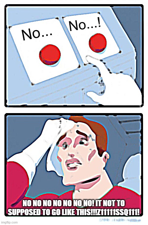 Two Buttons Meme | No... No...! NO NO NO NO NO NO NO! IT NOT TO SUPPOSED TO GO LIKE THIS!!!Z11111SSQ111! | image tagged in memes,two buttons | made w/ Imgflip meme maker