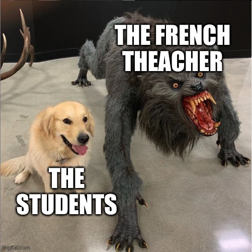 dog vs werewolf | THE FRENCH THEACHER; THE STUDENTS | image tagged in idk,grumpy cat,poop | made w/ Imgflip meme maker