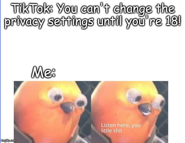 Listen here you little shit | TikTok: You can't change the privacy settings until you're 18! Me: | image tagged in listen here you little shit | made w/ Imgflip meme maker