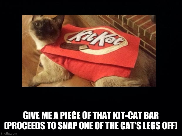 kit-cat barrrrr | GIVE ME A PIECE OF THAT KIT-CAT BAR (PROCEEDS TO SNAP ONE OF THE CAT'S LEGS OFF) | image tagged in cats,japapi,reeeeeeeeeeeeeeeeeeeeee | made w/ Imgflip meme maker