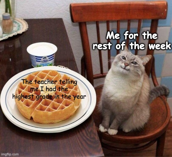 Pancake Cat | Me for the rest of the week; The teacher telling me I had the highest grade in the year | image tagged in pancake cat | made w/ Imgflip meme maker