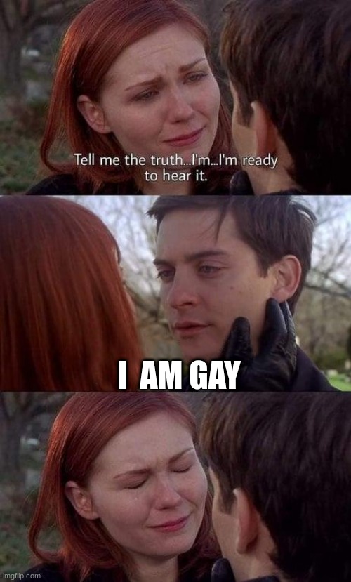 Tell me the truth, I'm ready to hear it | I  AM GAY | image tagged in tell me the truth i'm ready to hear it | made w/ Imgflip meme maker